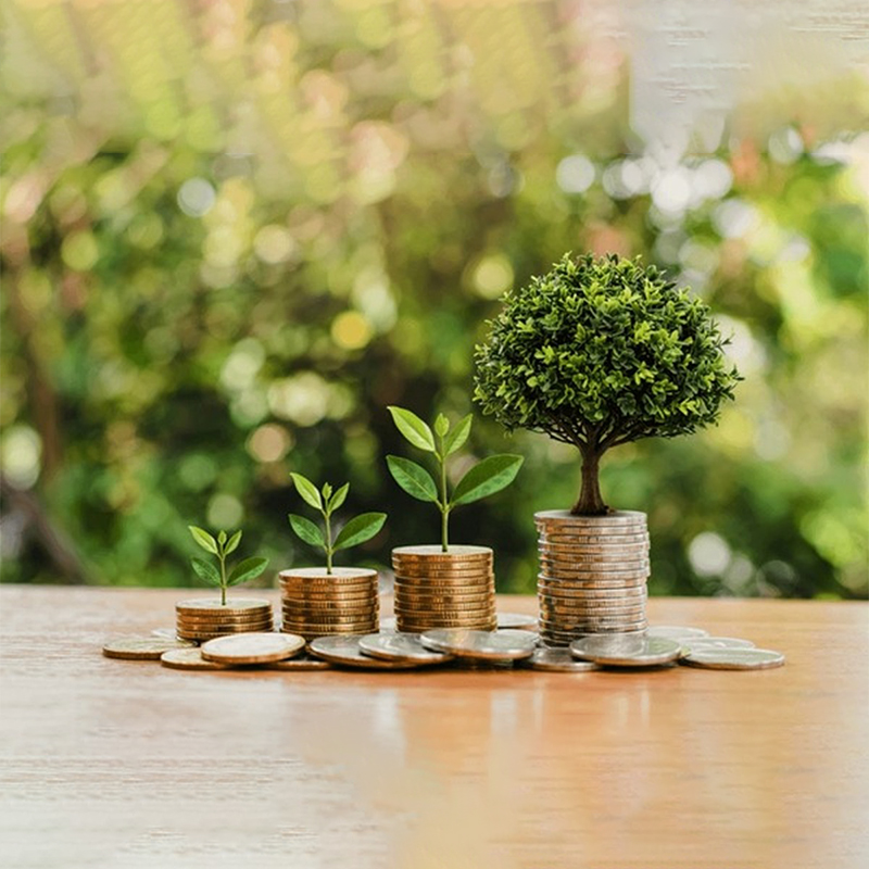 عوامل مؤثر بر قیمت طلا و سکه در ایران